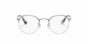 Clear Lenses, Polished Silver Frame