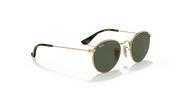 Dark Green Lenses, Polished Arista Gold Frame