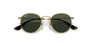 Dark Green Lenses, Polished Arista Gold Frame