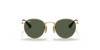 [Dark Green Lenses, Polished Arista Gold Frame]