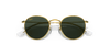 [Dark Green Lenses, Polished Gold Frame]