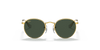 [Dark Green Lenses, Polished Gold Frame]