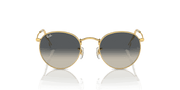 Grey Lenses, Polished Gold Frame