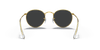 [Black Lenses, Polished Gold Frame]