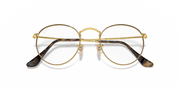 Clear Lenses, Polished Havana On Gold Frame