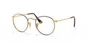 Clear Lenses, Polished Havana On Gold Frame