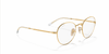 [Clear Lenses, Polished Arista Gold Frame]