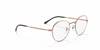 [Clear Lenses, Polished Copper Frame]