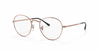 [Clear Lenses, Polished Copper Frame]