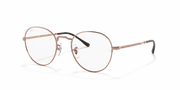 Clear Lenses, Polished Copper Frame