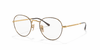 [Clear Lenses, Polished Havana On Gold Frame]