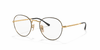 [Clear Lenses, Polished Black On Gold Frame]