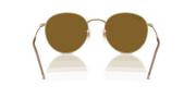 Polar Brown Lenses, Polished Arista Gold Frame