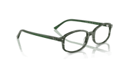 Clear Lenses, Polished Transparent Shade Fantasy Green Frame