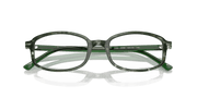 Clear Lenses, Polished Transparent Shade Fantasy Green Frame