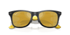 [Brown Mirror Gold Polar Lenses, Polished Dark And Yellow Carbon Frame]