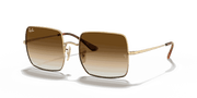 Light Brown Gradient Lenses, Polished Arista Gold Frame