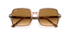 [Light Brown Gradient Lenses, Polished Transparent Brown Frame]