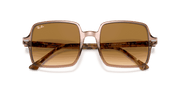 Light Brown Gradient Lenses, Polished Transparent Brown Frame