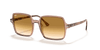 [Light Brown Gradient Lenses, Polished Transparent Brown Frame]