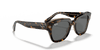 [Dark Grey Lenses, Polished Havana On Transparent Brown Frame]