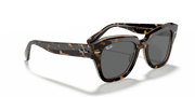 Dark Grey Lenses, Polished Havana On Transparent Brown Frame