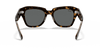 [Dark Grey Lenses, Polished Havana On Transparent Brown Frame]