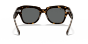 Dark Grey Lenses, Polished Havana On Transparent Brown Frame