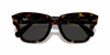 [Dark Grey Lenses, Polished Havana On Transparent Brown Frame]