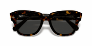 Dark Grey Lenses, Polished Havana On Transparent Brown Frame