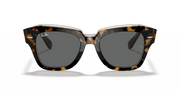 Dark Grey Lenses, Polished Havana On Transparent Brown Frame