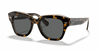 [Dark Grey Lenses, Polished Havana On Transparent Brown Frame]