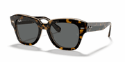 Dark Grey Lenses, Polished Havana On Transparent Brown Frame