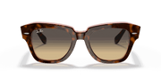 Brown/Blue Gradient Lenses, Polished Havana On Transparent Pink Frame