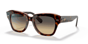 Brown/Blue Gradient Lenses, Polished Havana On Transparent Pink Frame