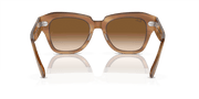 Clear & Brown Lenses, Polished Striped Brown Frame