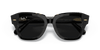 [Polarized Black Classic Lenses, Polished Black On Transparent Frame]