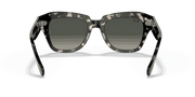 Grey Gradient Lenses, Polished Grey Havana Frame