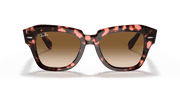 Light Brown Gradient Lenses, Polished Pink Havana Frame