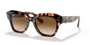 [Light Brown Gradient Lenses, Polished Pink Havana Frame]