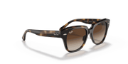 Dark Brown Gradient Lenses, Polished Havana Frame