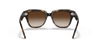 [Dark Brown Gradient Lenses, Polished Havana Frame]