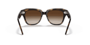 Dark Brown Gradient Lenses, Polished Havana Frame