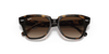 [Dark Brown Gradient Lenses, Polished Havana Frame]