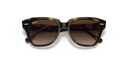 Dark Brown Gradient Lenses, Polished Havana Frame