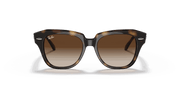 Dark Brown Gradient Lenses, Polished Havana Frame