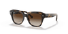 [Dark Brown Gradient Lenses, Polished Havana Frame]