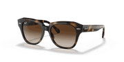 Dark Brown Gradient Lenses, Polished Havana Frame