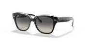 Grey Gradient Lenses, Polished Black On Transparent Frame