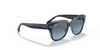 [Blue/Grey Lenses, Polished Blue On Transparent Grey Frame]